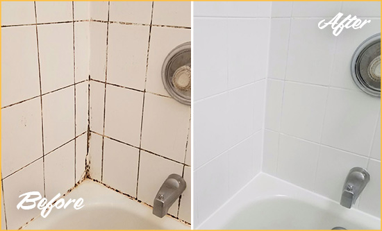 Before and After Picture of a Piney Grove Shower Tile and Grout Cleaned to Eliminate Mold