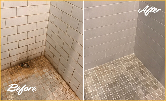 Before and After Picture of a Piney Grove Shower Tile and Grout Cleaned to Eliminate Mold and Stains