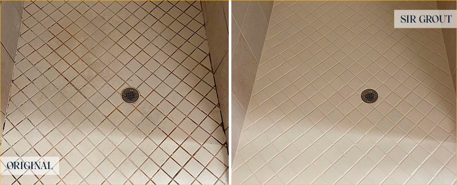 Shower Floor Before and After a Grout Cleaning in Carrboro